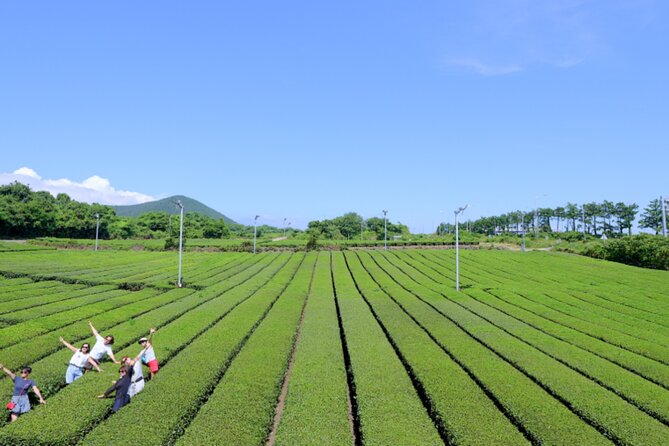 Jeju: UNESCO-Listed Southern Authentic Day Tour - What the guides add to the day