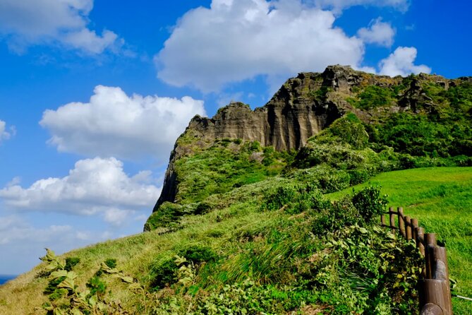 Jeju: UNESCO-Listed Southern Authentic Day Tour - Price, group size, and the real value
