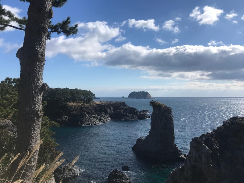 Jeju: West of Jeju Island Bus Tour from Seogwipo City - Who should book this experience?