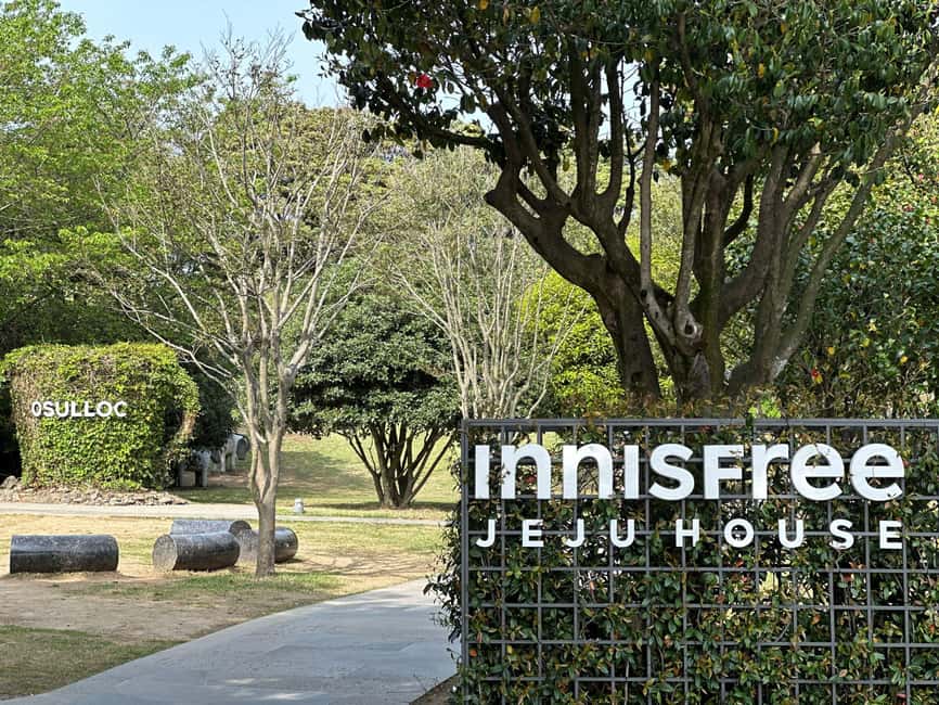 Jeju West: Small Group Healing Tour w/Caves & Dolphins - Conch Park and the patience of dolphin watching