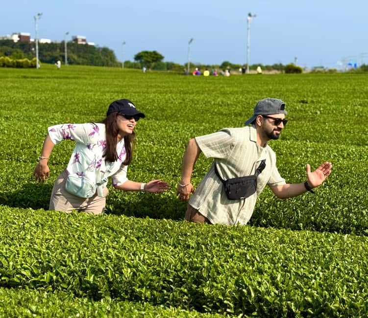 Jeju West: Small Group Healing Tour w/Caves & Dolphins - Suwolbong, a textbook volcanic coast