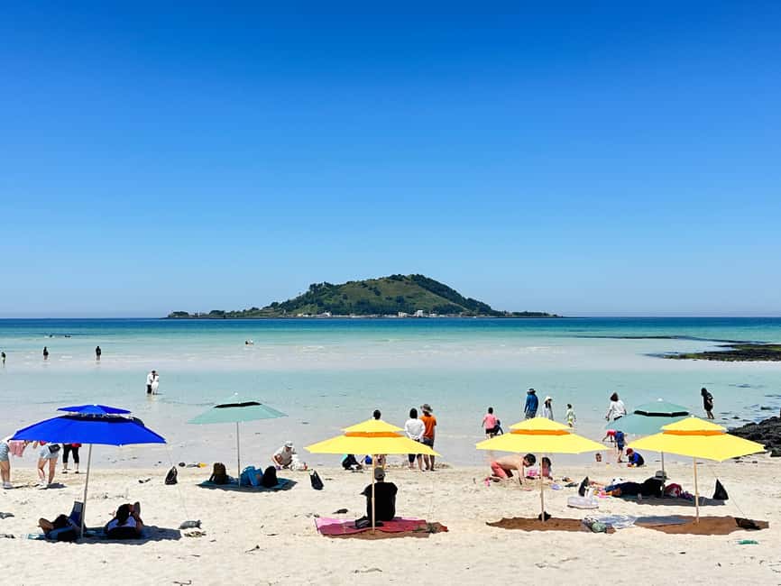 Jeju West: Small Group Healing Tour w/Caves & Dolphins - Gotjawal Provincial Park, Jeju’s lava forest