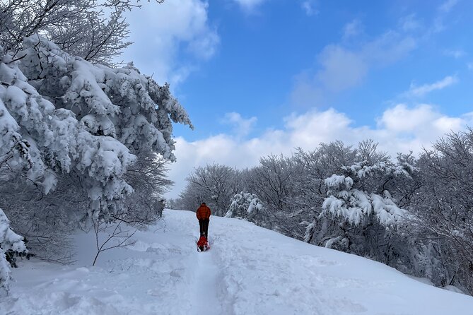 Jeju WEST&SOUTH One Day Tour with MT.halla & UNESCO - Jeongbang Waterfall meets the sea