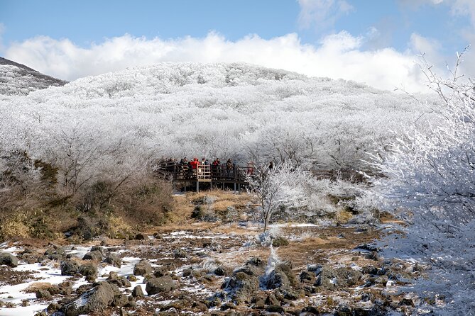 Jeju WEST&SOUTH One Day Tour with MT.halla & UNESCO - The guides are a major part of the value