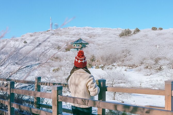 Jeju WEST&SOUTH One Day Tour with MT.halla & UNESCO - Hallasan and the 1100 Altitude Wetland