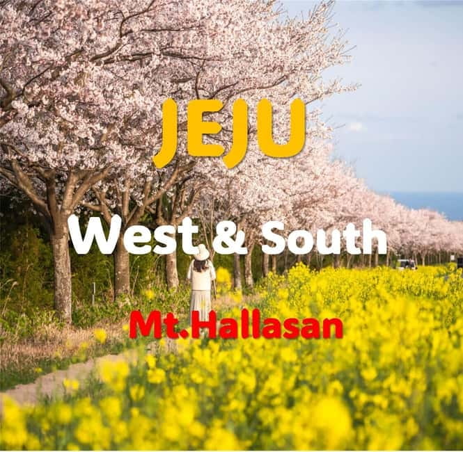 Jeju: Western and Southern Sightseeing Day Tour - The guide makes the long day easier
