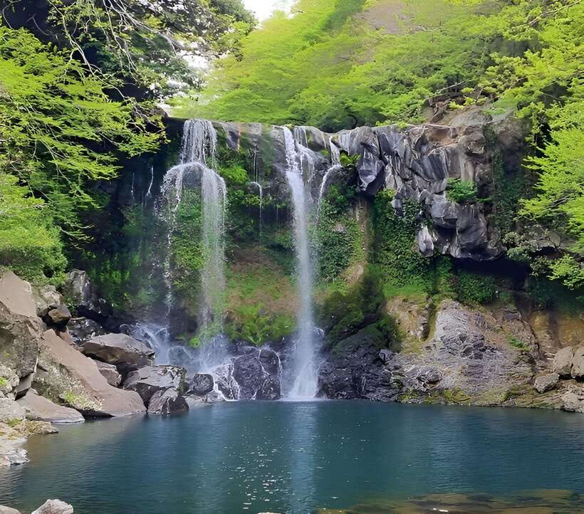 Jeju: Western & Southern Jeju Hydrangea Festival Tour - Camellia Hill is the day’s best hydrangea setting