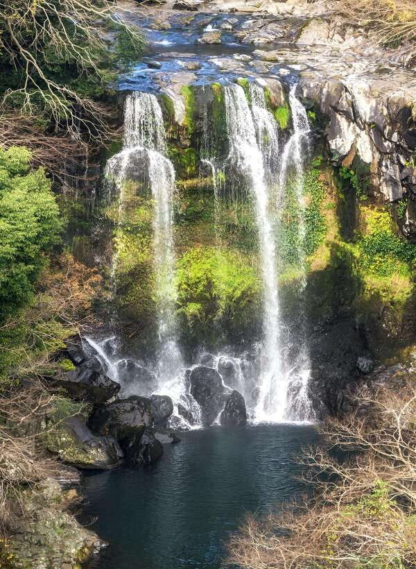 Jeju: Western & Southern Jeju Hydrangea Festival Tour - O’Sulloc brings the day back to tea