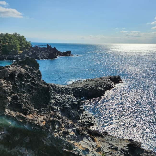 Jeju: Western & Southern Jeju Hydrangea Festival Tour - What the $90 price really covers