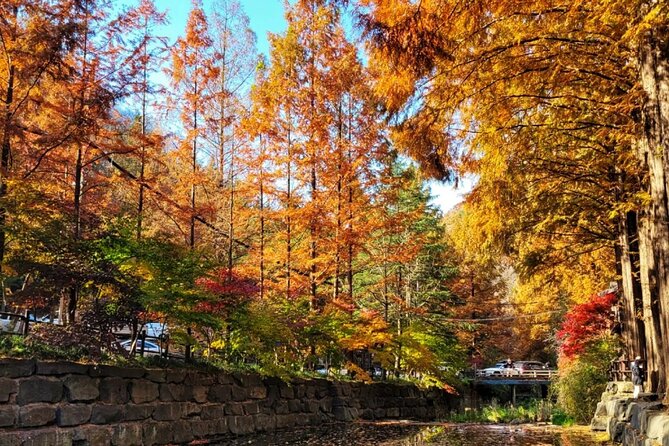 Jeonju Hanok Village Full-Day Tour:Jangtaesan Autumn Foliage - Quick reasons to consider this day trip