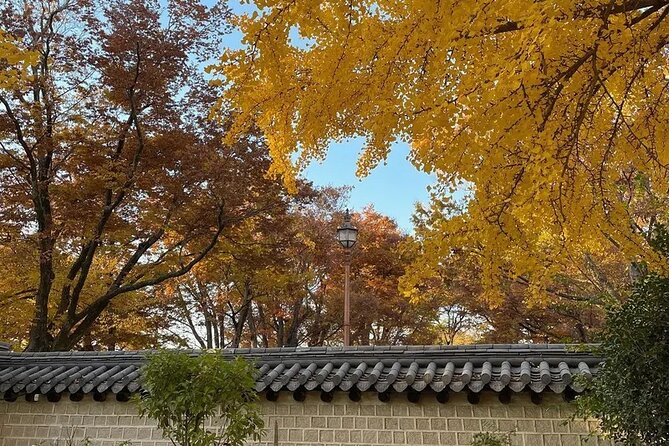Jeonju Hanok Village Full-Day Tour:Jangtaesan Autumn Foliage - Walking through Jeonju Hanok Village
