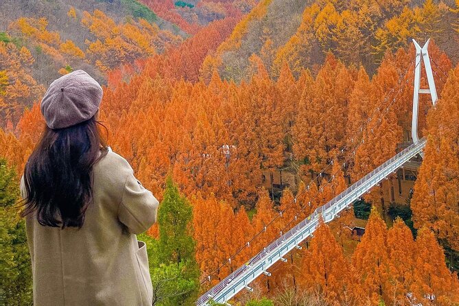 Jeonju Hanok Village Full-Day Tour:Jangtaesan Autumn Foliage - Lunch and free time in Jeonju