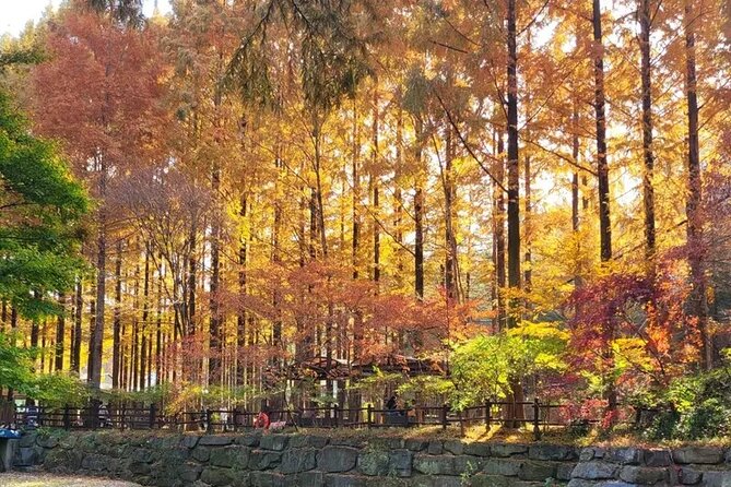 Jeonju Hanok Village Full-Day Tour:Jangtaesan Autumn Foliage - The changing views of Jangtaesan
