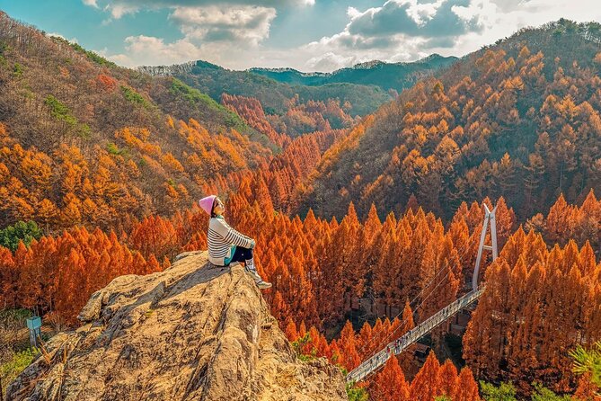 Jeonju Hanok Village Full-Day Tour:Jangtaesan Autumn Foliage - Guides make the long day easier