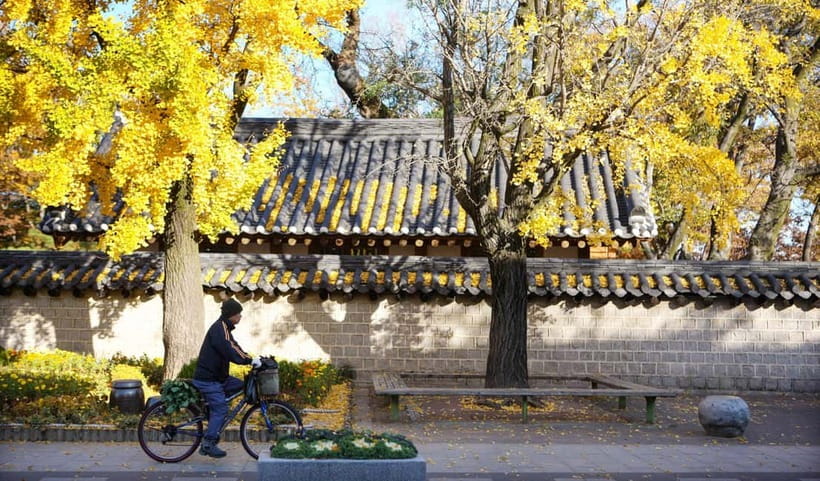 Jeonju Hanok Village Full-Day Tour:Jangtaesan Autumn Foliage - Who will enjoy this tour most