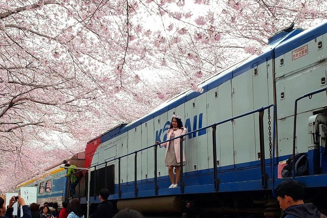 Jinhae Cherry Blossom + Busan Sunrise from Seoul - The overnight ride from Seoul to Haeundae