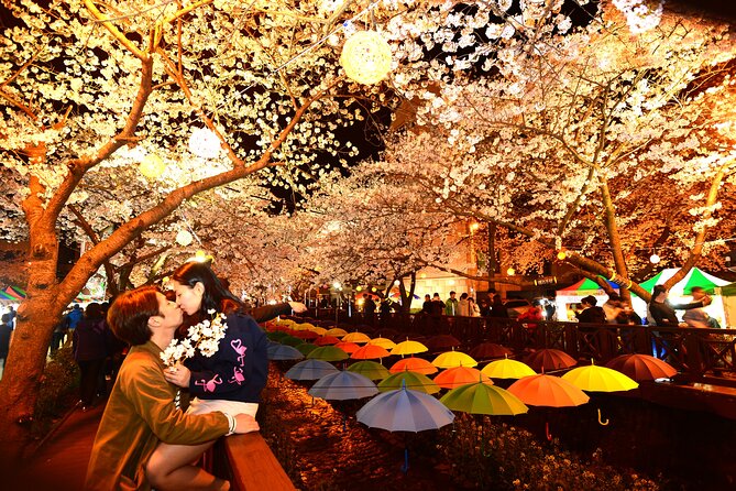 Jinhae Cherry Blossom Day trip from Busan - A Spring Adventure! - A licensed guide can shape the whole day