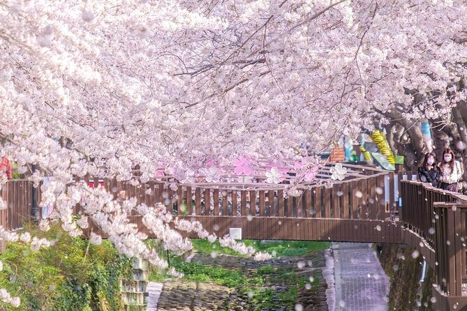 Jinhae Pink Cherry Blossom One Day Tour From Busan - Gyeonghwa Station and its two-hour blossom tunnel