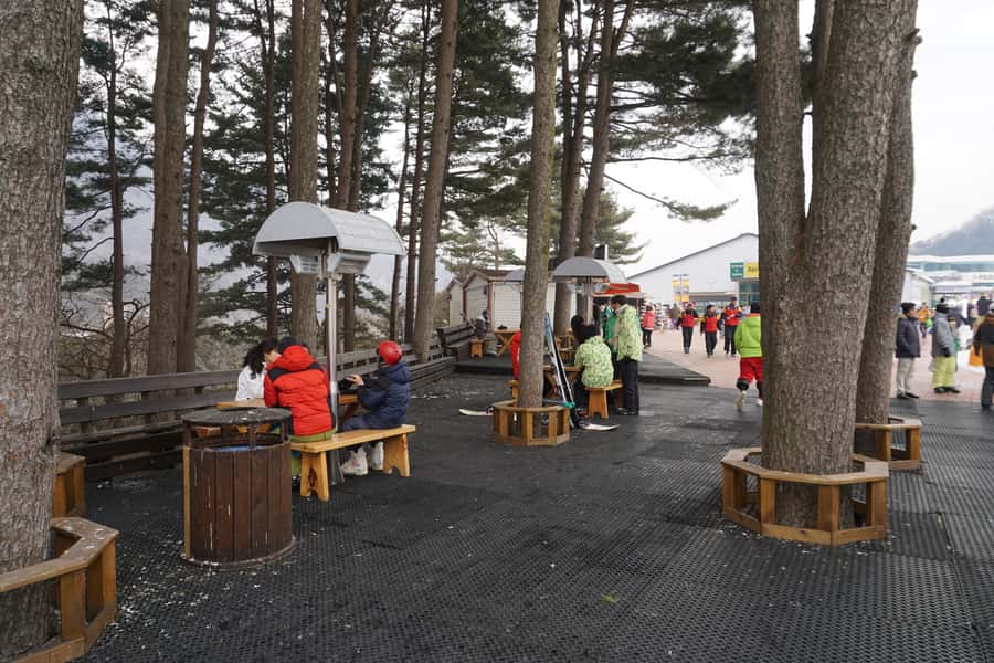 Jisan Forest Resort: Ski Full-Day Tour or Shuttle from Seoul - The slopes and snow time