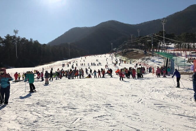 Jisan Forest Ski Resort and Everland 1 Day Tour - Why this Seoul day trip makes sense