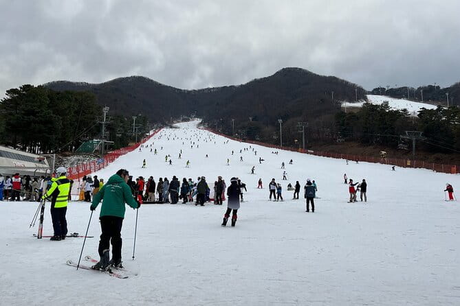 Jisan Forest Ski Resort and Everland 1 Day Tour - The value of $58.83 per person