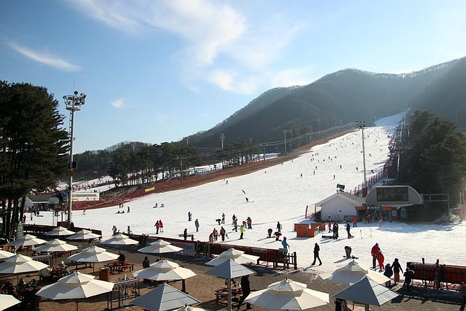 Korea Ski Tour from Seoul - Jisan Resort with Isaac Toast - Leaving Seoul at 7:30 am