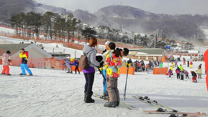 Korea Ski Tour from Seoul - Jisan Resort with Isaac Toast - The 120-minute lesson for beginners