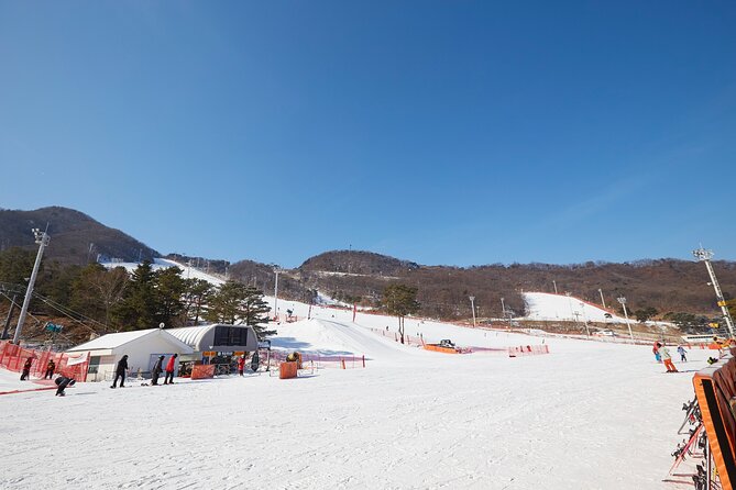 Korea Ski Tour from Seoul - Jisan Resort with Isaac Toast - Snow sledding for a simpler winter day