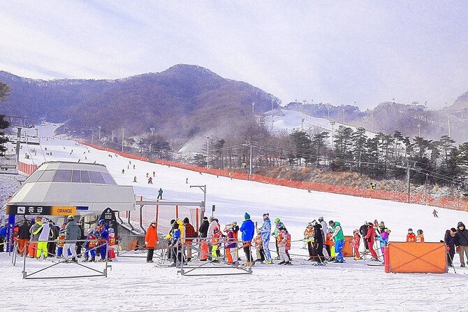 Korea Ski Tour from Seoul - Jisan Resort with Isaac Toast - A full day away from the city