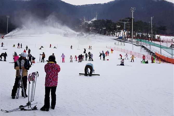 Korea Ski Tour from Seoul - Jisan Resort with Isaac Toast - How the experience handles families and mixed abilities