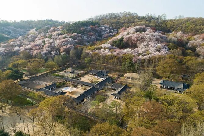 Korean Folk Village Afternoon Half day Tour - How Much You Get for $80