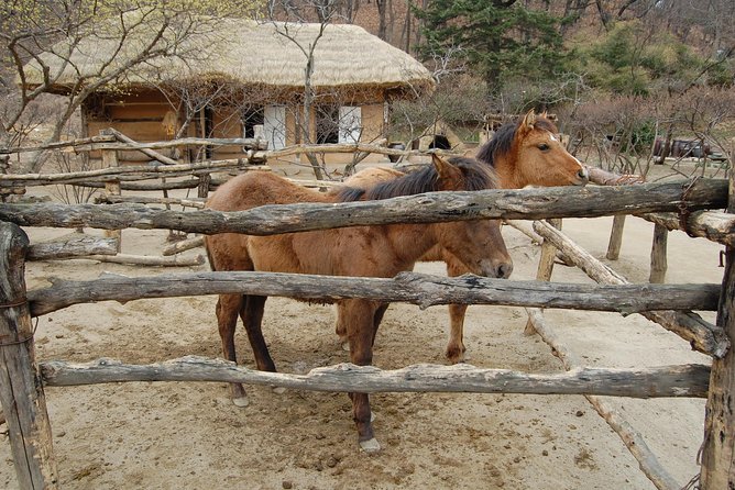 Korean Folk Village Afternoon Tour from Seoul - Is $65 good value?