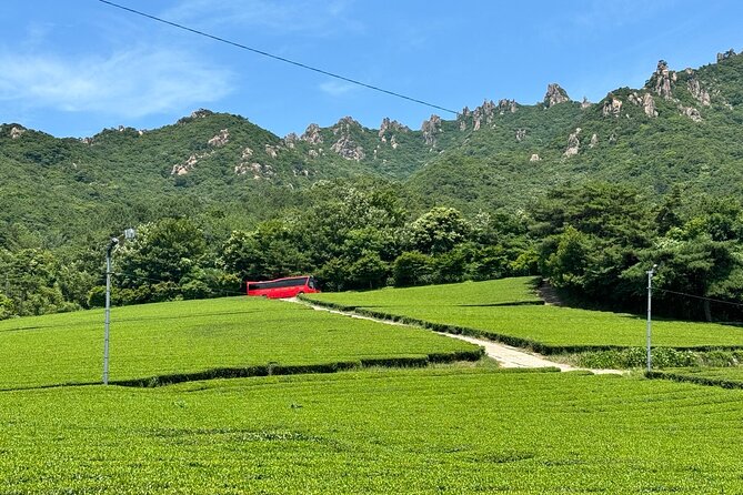 Korean Green Tea Tour - from Boseong to Gangjin (Private) - Lunch in Boseong-eup keeps the meal local