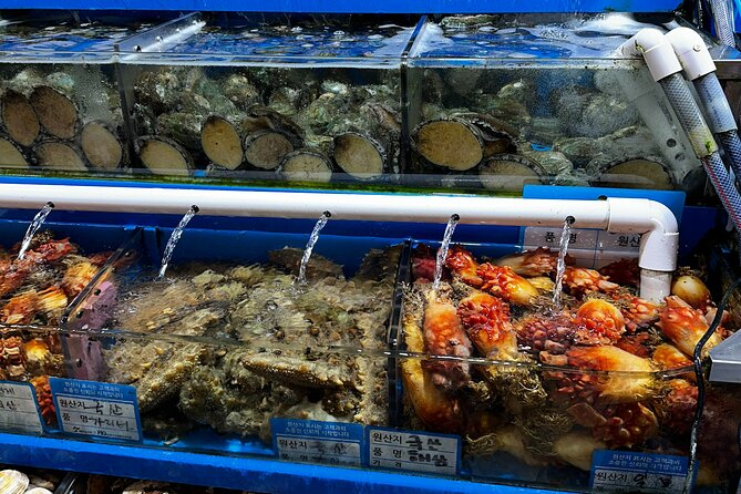 Korean Market Adventure with Chef Yie - Noryangjin Fish market - Timing, meeting point, and group size