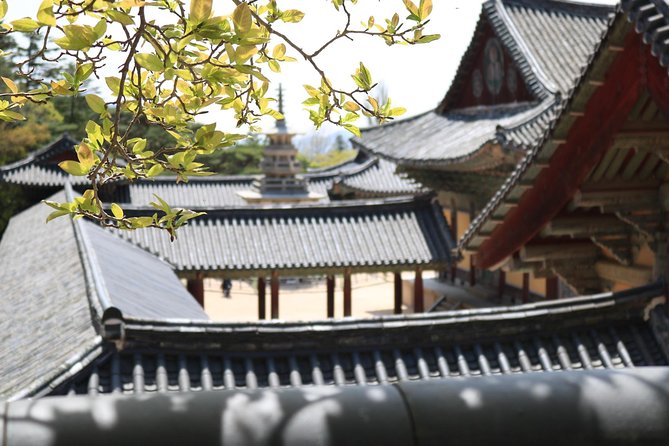 Korean UNESCO World Heritage Tour including Gyeongju, Andong and Daegu(2N3D) - A short taste of Andong soju