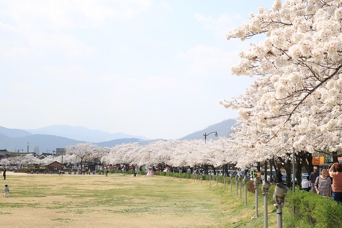 Korean UNESCO World Heritage Tour including Gyeongju, Andong and Daegu(2N3D) - What the $988.49 price really buys