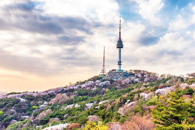 Lee’s Private 4-hour Customized Seoul Tour - Jogye-sa Temple, DDP, and the museums
