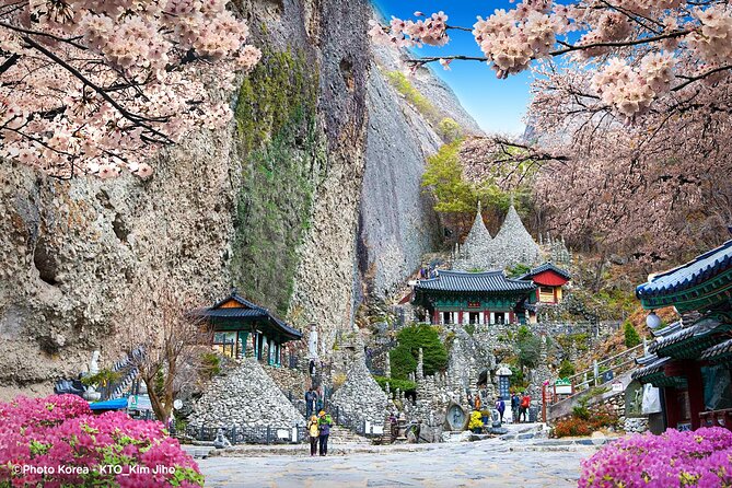 Maisan Cherry Blossom and Jeonju Hanok Village - Why this Seoul day trip makes sense