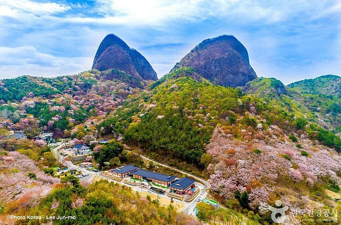 Maisan Cherry Blossom and Jeonju Hanok Village - From Jinan-gun to Jeonju