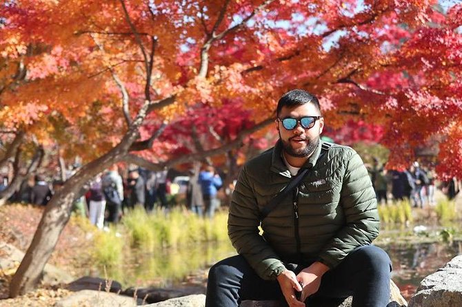 Make Your Trip Around Nami Island With an Expert(DSLR option) - Why a private photo tour works well outside Seoul