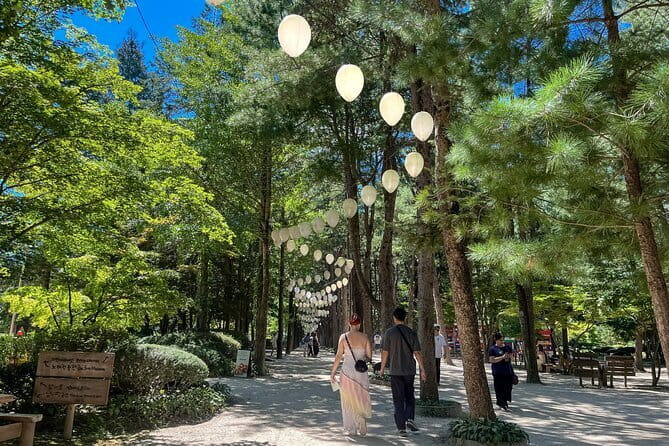 Max Out Seoul: Must Visit City Highlights Panoramic Day Tour - Eating your way through Gwangjang Market