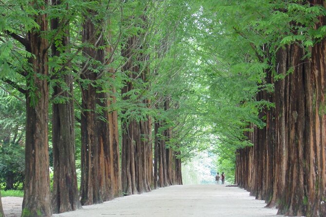 Mount Seorak and Nami Island One Day Tour from Seoul - Why combine Seoraksan and Nami Island?