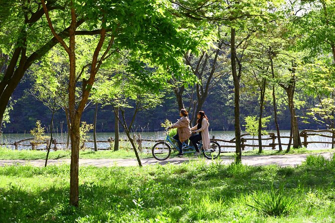 Mount Seorak and Nami Island One Day Tour from Seoul - The order of stops can change your experience