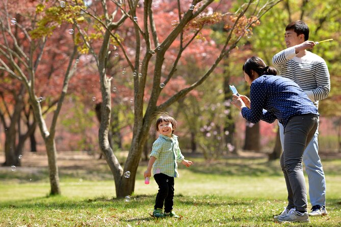 Mount Seorak and Nami Island One Day Tour from Seoul - What the coach ride adds, and what it costs