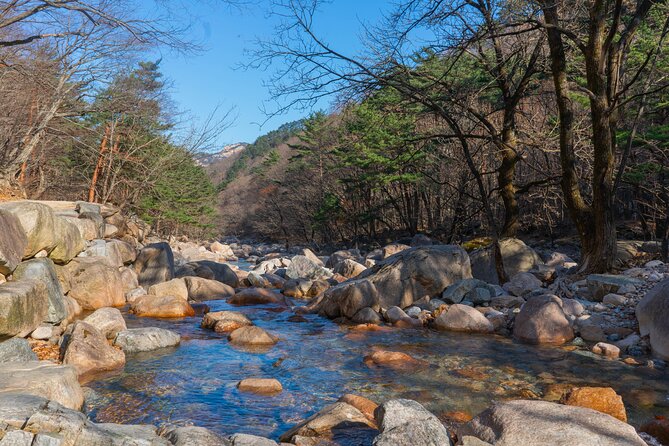 Mount Seorak and Nami Island One Day Tour from Seoul - Guides can make the tight schedule work