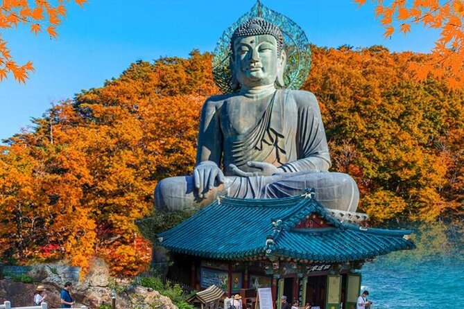 Mt.Seorak & Naksan Temple Day Trip from Seoul - Why this east coast day trip works from Seoul