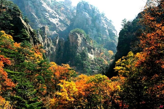 Mt.Seorak & Naksan Temple Day Trip from Seoul - Naksan Beach: an easy final hour by the water