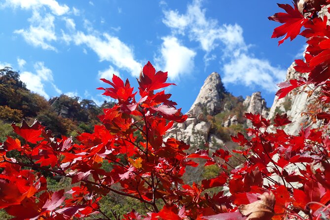 Mt. Seorak+Nami Island+Garden of Morning Calm Day Trip from Seoul - Why this day trip works for nature lovers