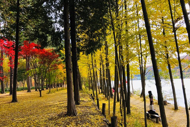 Mt. Seorak+Nami Island+Garden of Morning Calm Day Trip from Seoul - The Garden of Morning Calm in 1 hour 10 minutes