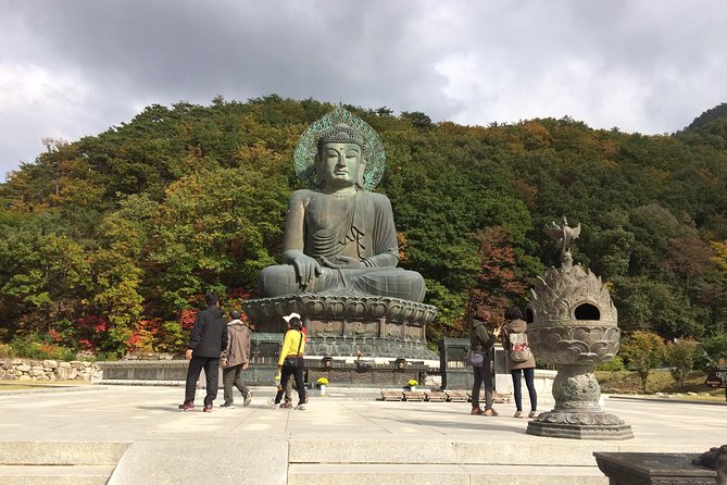 Mt. Seorak+Nami Island+Garden of Morning Calm Day Trip from Seoul - Food, extra charges, and what to bring